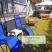 Apartmani Gudelj, privatni smeštaj u mestu Kamenari, Crna Gora - 83709187_1239994922861479_2520022359566450688_n